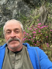 Clarkia concinna raichei