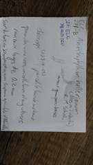 Crossocalyx hellerianus