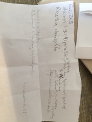 Riccardia chamedryfolia