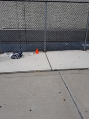 Leiothlypis ruficapilla