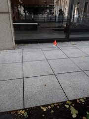 Troglodytes hiemalis