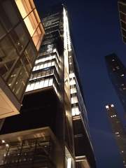 Zonotrichia albicollis