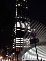 Hylocichla mustelina