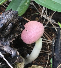 Image Associated With the Occurrence