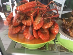 Macrobrachium rosenbergii