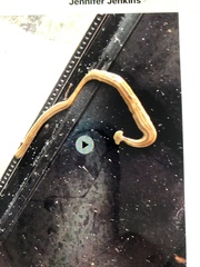 Bipalium pennsylvanicum